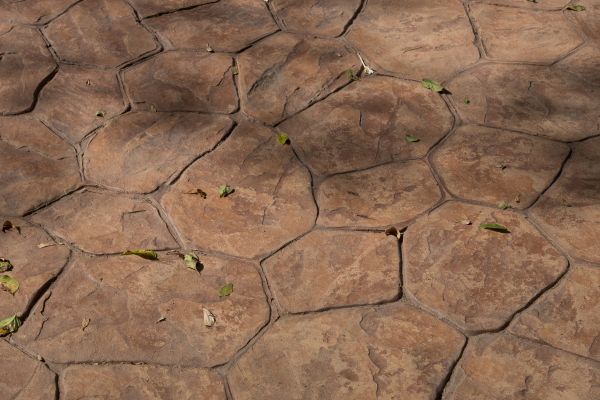 Cost of Concrete Texturing in Hendersonville